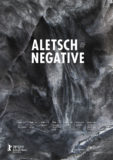 "Aletsch Negative", Short Films Competition, 70th Berlinale